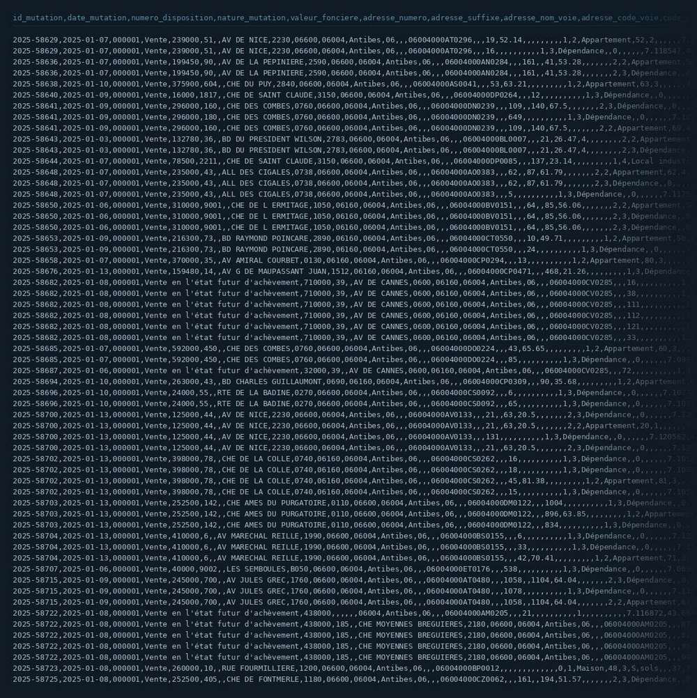 The transaction register as published: forty columns, one line per lot, addresses as road codes